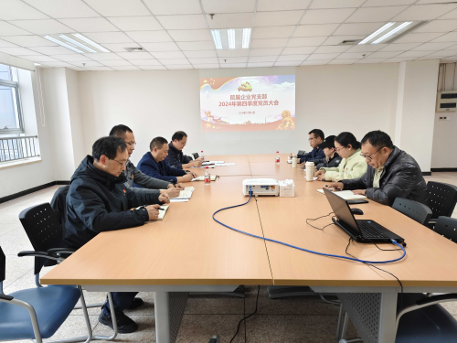 院屬企業(yè)黨支部召開(kāi)2024年第四季度黨員大會(huì)